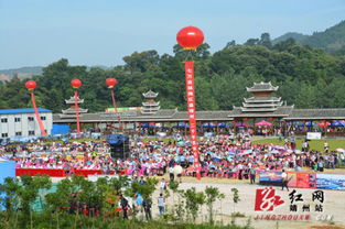 2015中国 靖州 杨梅节暨飞山文化旅游节开幕