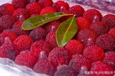品尝人间“梅”味,2018靖州杨梅节暨产业扶贫促销活动火热来袭