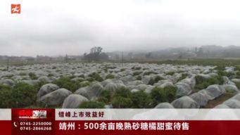 靖州 怀化传媒网