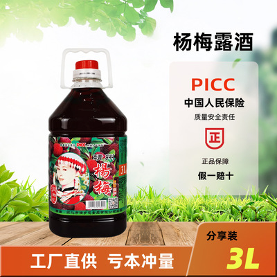 洞乡花杨梅酒正宗靖州特产梅子红酒3L大桶好喝女士低度甜水果酒X0115