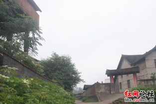 靖州县江东乡一锰业厂污染环境,请给个合理的处理结果