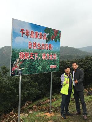 惠农网邓武杰:农产品如何走出“大涨伤民,大跌伤农”的怪圈?