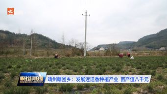 靖州 怀化传媒网