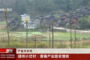 靖州 怀化传媒网