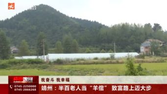 靖州 怀化传媒网