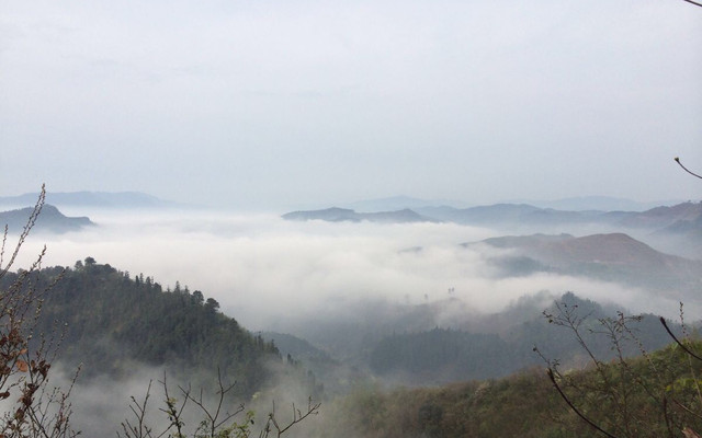靖州飞山