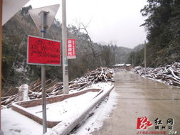 靖州积极应对低温雨雪天气