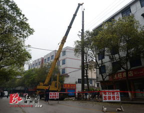 靖州城区电网改造工程全面铺开