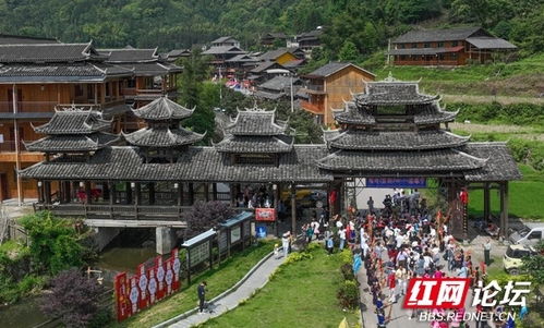 靖州苗族四月八,来和苗家姑娘们一起欢庆盛会