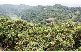 中国水土保持生态建设网