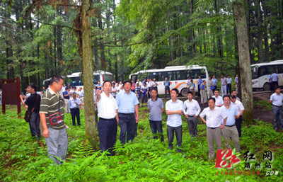 湖南省木材战略储备基地建设现场会在靖州召开