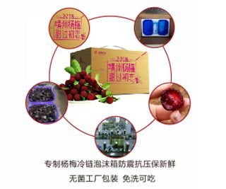 靖州杨梅网络文化节