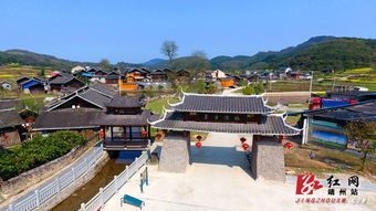 靖州 垃圾分类让古寨更美