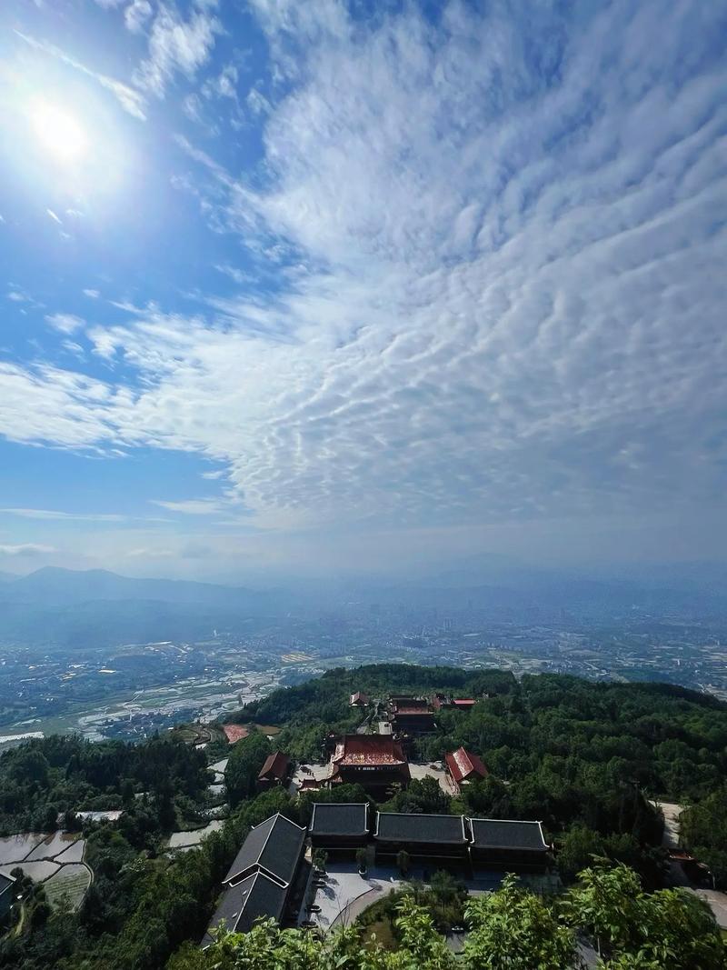 旅游·家乡·靖州.苗侗"茯"地,"梅"好靖州十方九苓,七出