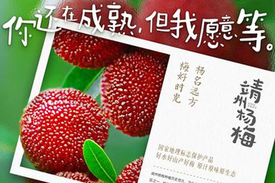 夏日“梅”好正当时!靖州杨梅采摘大幕将启