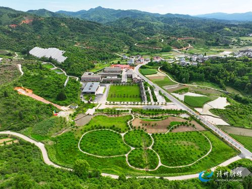 靖州 10万亩杨梅全面开摘