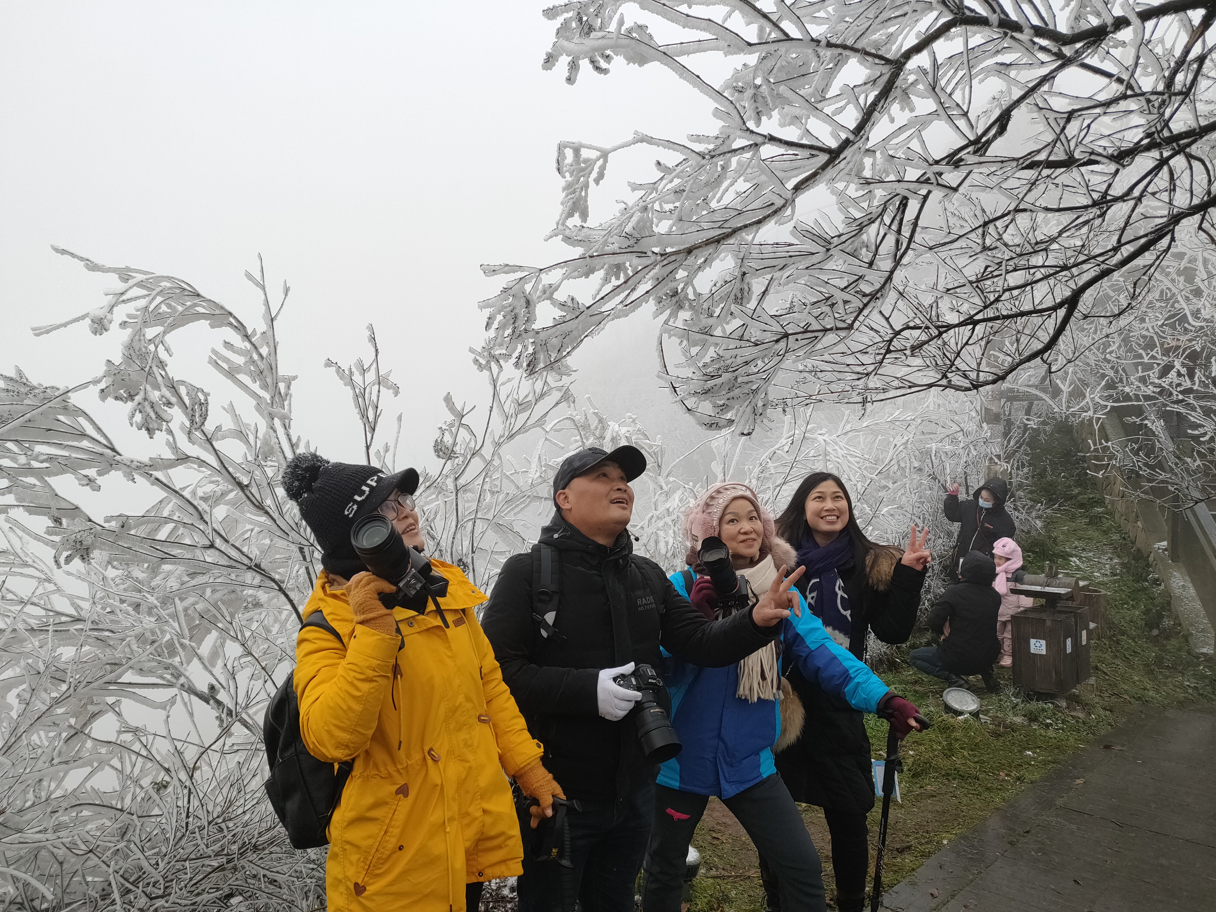 靖州飞山景区:雾凇美 迎客来