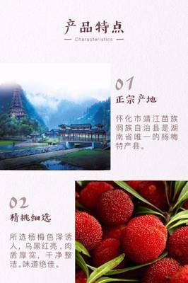 杨梅酒靖州梅子酒女士红酒自酿果酒少女低度甜酒生态佳酿8%度2.5L