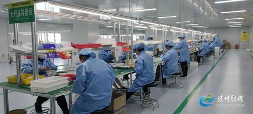靖州 防疫生产 两手抓 两手硬 两不误