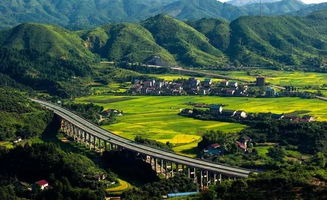 靖州财政 四举措助推国家现代农业产业园区建设