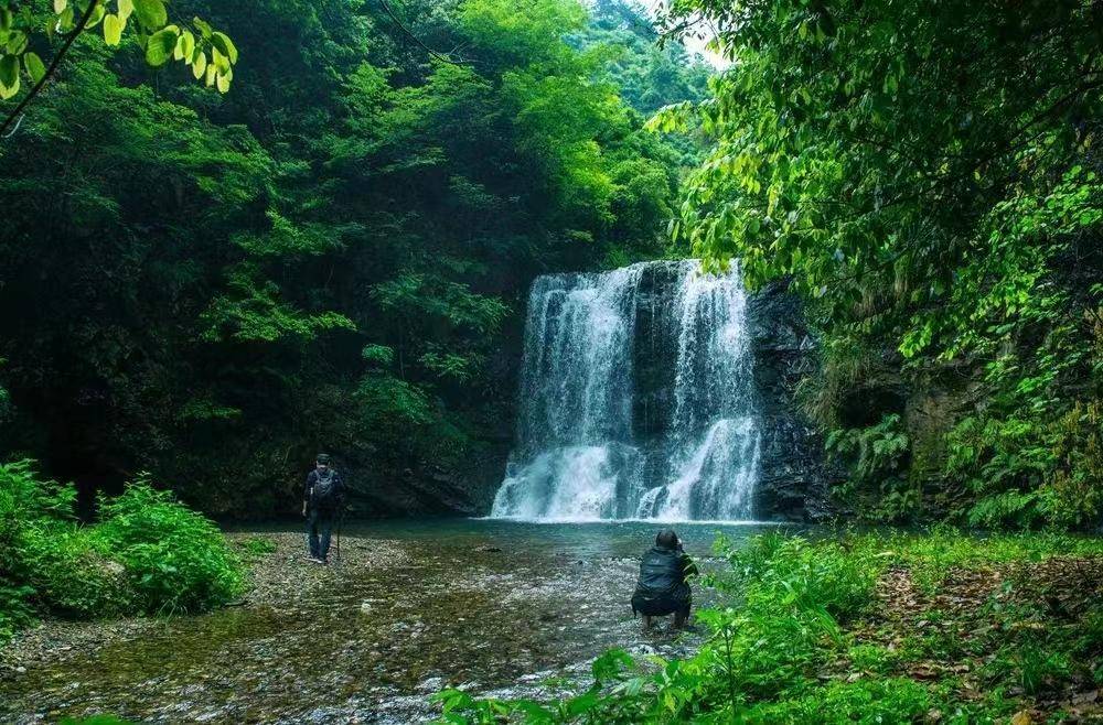 靖州新江村:看山,望水,湿地公园,景美如画