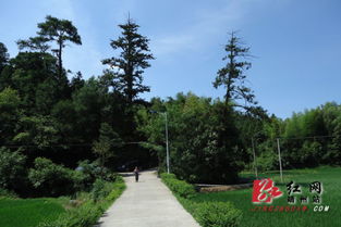 靖州大林村入选全国 美丽乡村 创建试点
