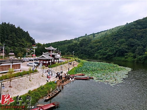 靖州 美丽乡村行 走进 梦里水乡 新江
