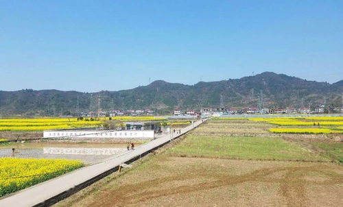 全国示范 怀化这4个地方上榜 是你家吗