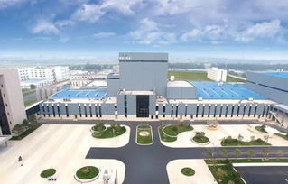 奶粉界的小米 靖州自跳火坑争一口气，为中国父母省下200亿