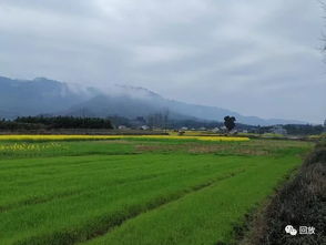 花途 靖州江边村一瞥
