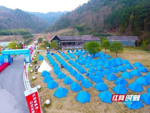 怀化靖州 水杉星空下相约帐篷节