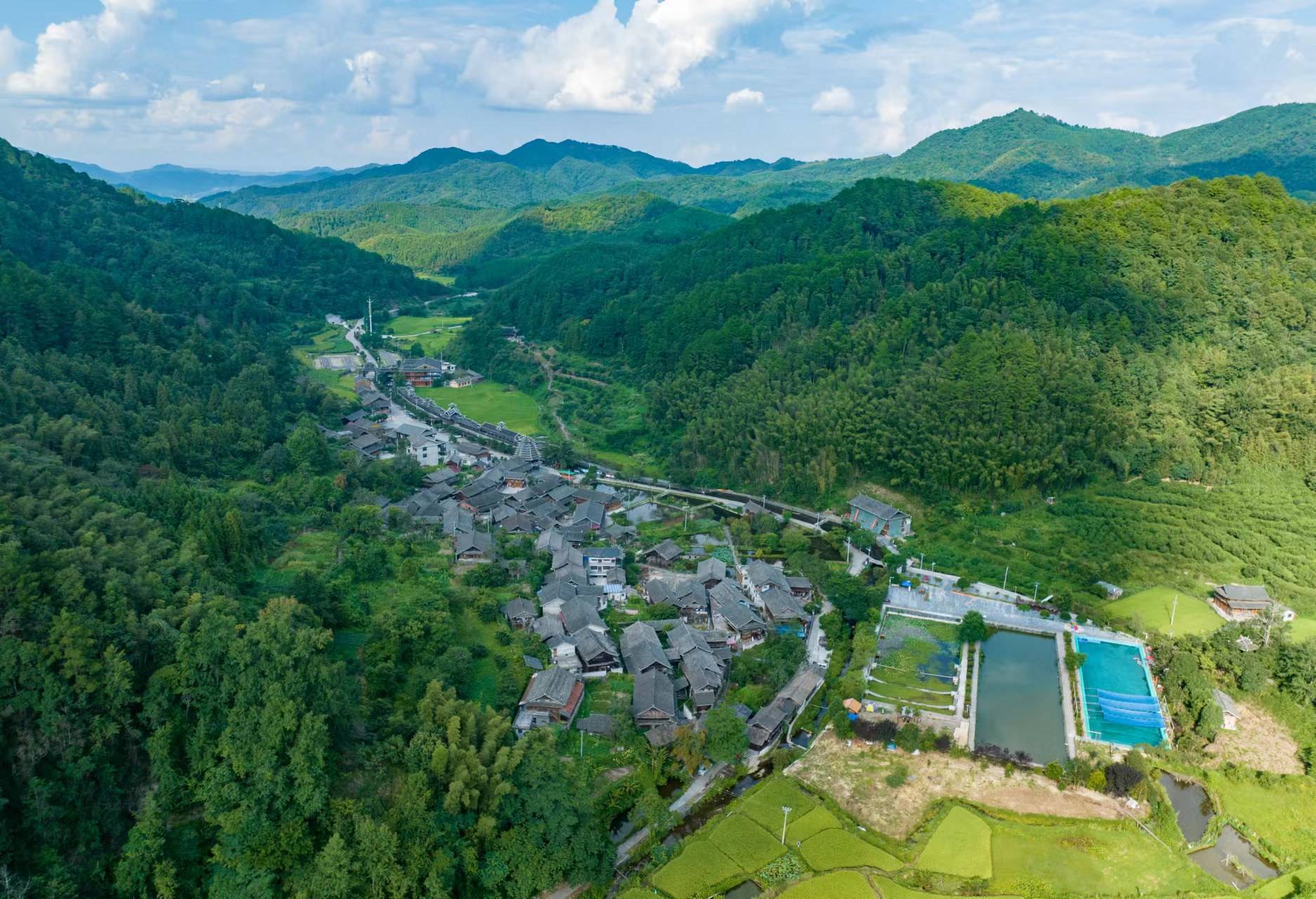 靖州寨牙乡:绘环境底色,缀青山翠柏