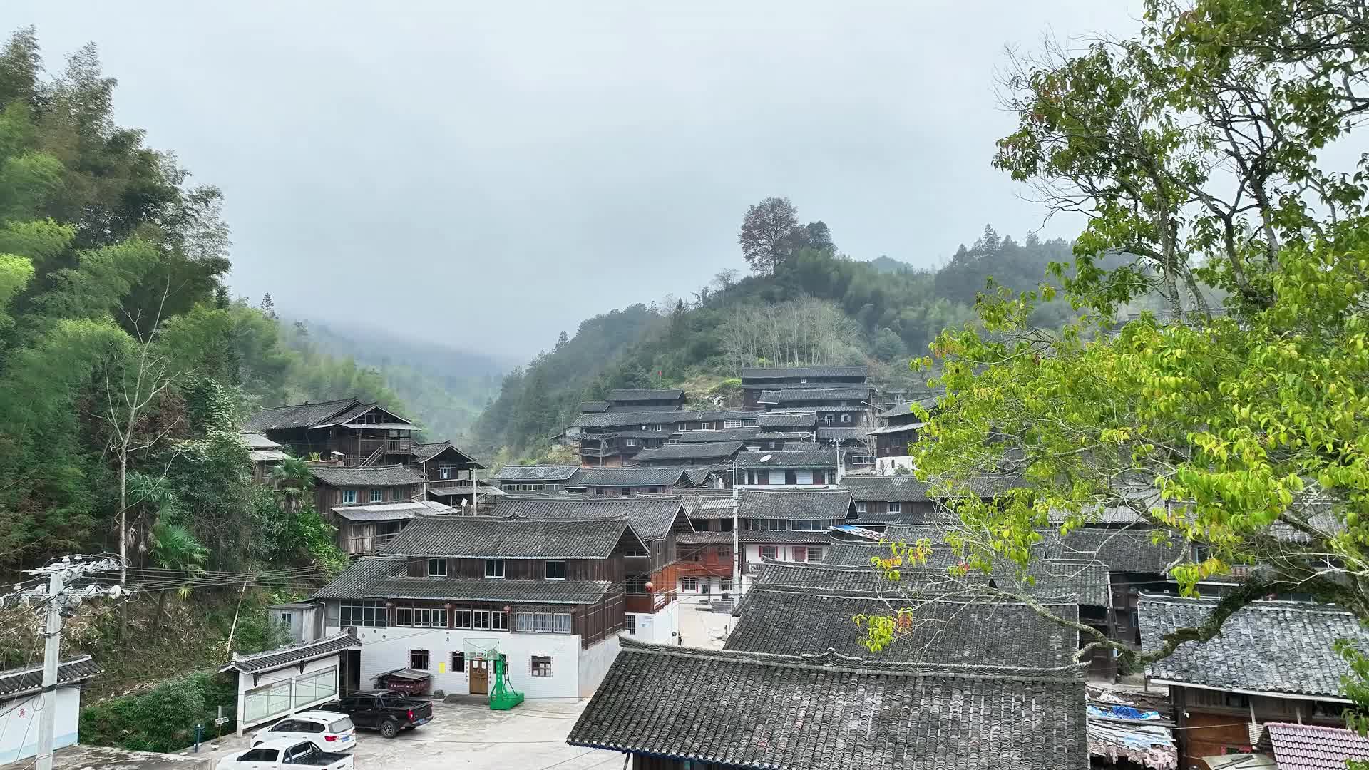 妙手丹青绘古城——知名画家赴靖州采风创作侧记