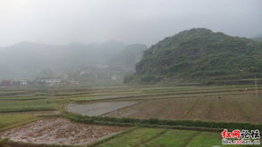 红网网友六不道人靖州扶贫助学行纪实