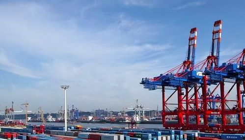 印度在经贸依赖与地缘政治间的平衡 西方挑拨难撼中印务实合作