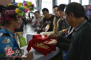 靖州闪耀武陵山健康产业博览会 苗侗特色引领康养新风尚