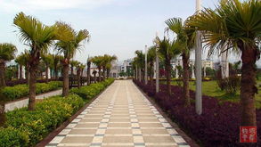 靖州飞山之城新貌