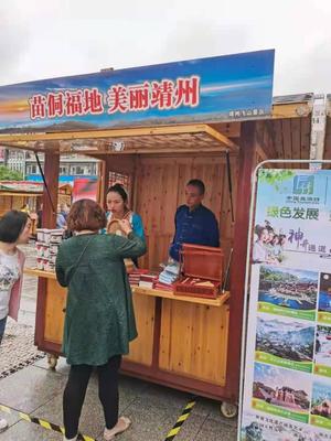 文旅融合，魅力靖州 记靖州县参加2021年“中国旅游日”怀化宣传活动暨“怀化人游怀化”活动