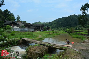 青山埋忠骨 苗乡寄哀思——靖州籍优秀军官因病殉职引发社会各界深切缅怀
